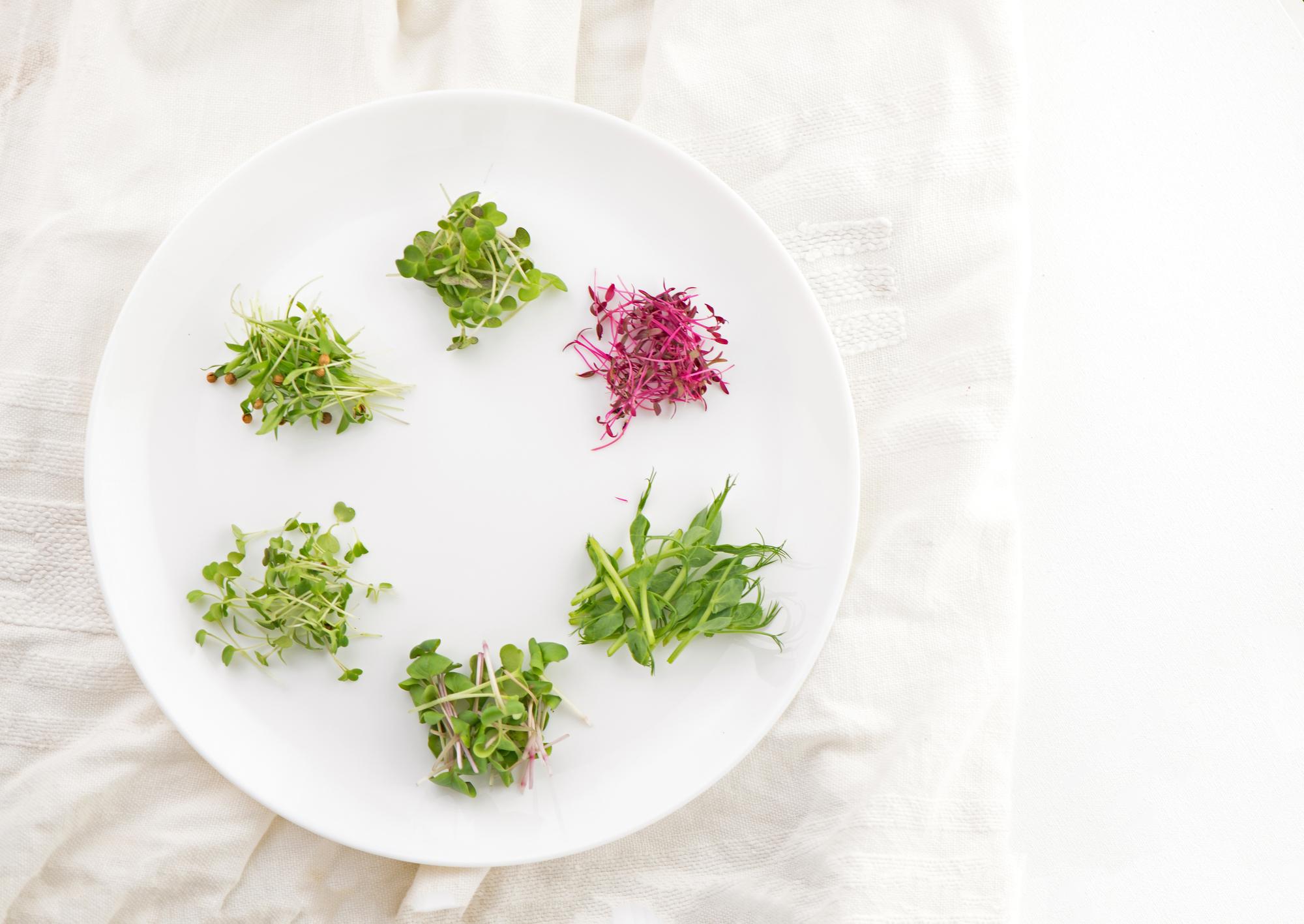 Bright plated starter with edible flowers and microgreens